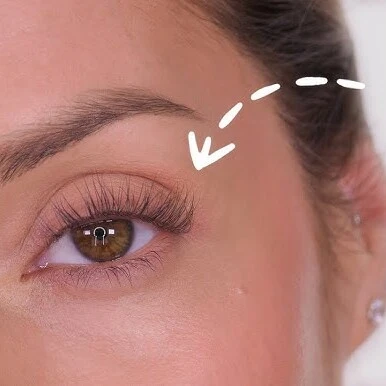 Position the Eyelash Curler