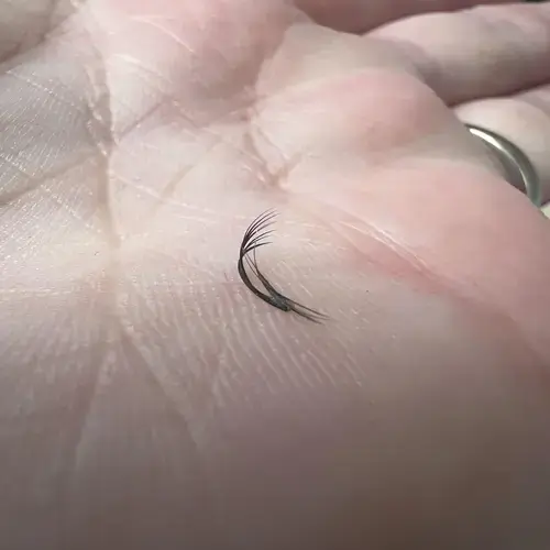 Get Close — But Don’t Pinch