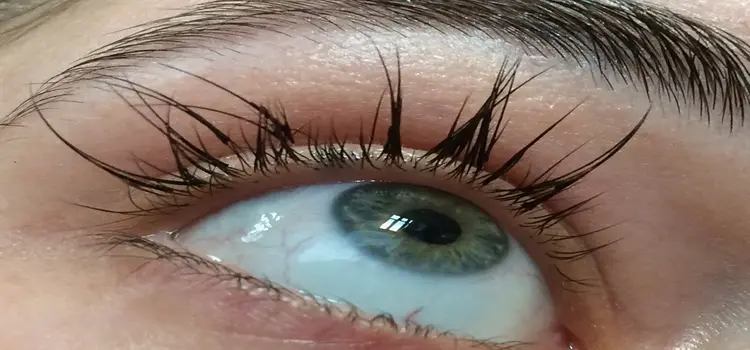 Lash Extensions Falling Out