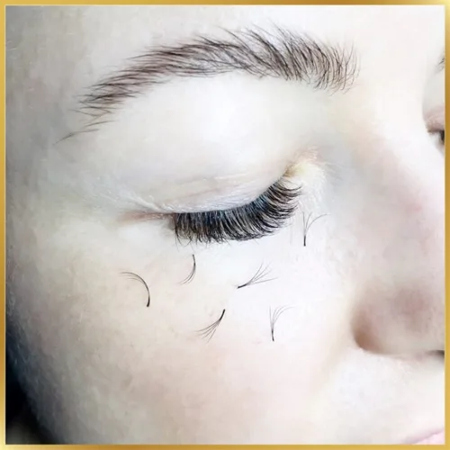 Lash Extensions Falling Out